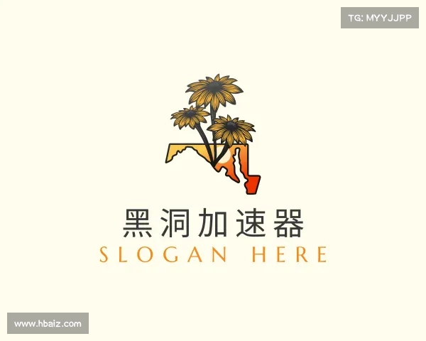 知道黑洞加速器